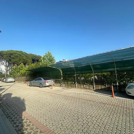 Arbian * Plazhi San Pietro